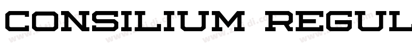 Consilium Regular字体转换